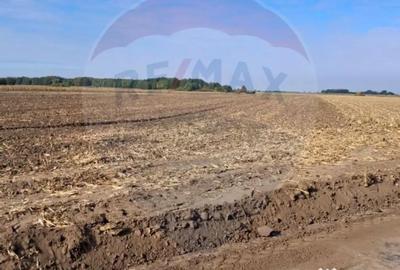 Teren de 21177 mp, în Santăul Mic - 2