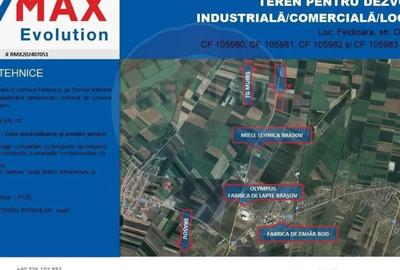 Teren de 59600 mp, în Feldioara - 6