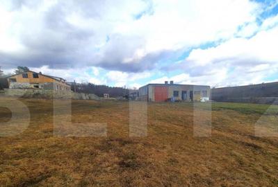 Teren de 49856 mp, în Someșeni - 8