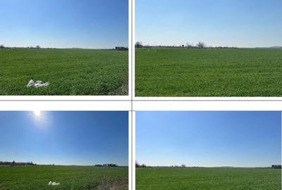 Cota parte de 1/10 din teren Bucuresti, ID: R2550650 - 5