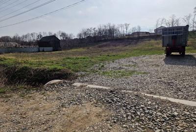 Teren - Roman  -Trifesti - 4