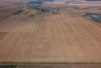 FRUMUSANI - PASAREA, TEREN 14420 MP, FRONT 40 M! - 8