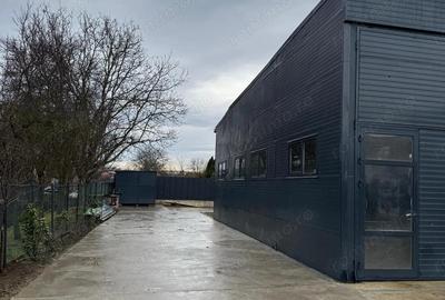 Depozitelor- Vanzare spatiu comercial + teren + hala - Str. Caminului - 7