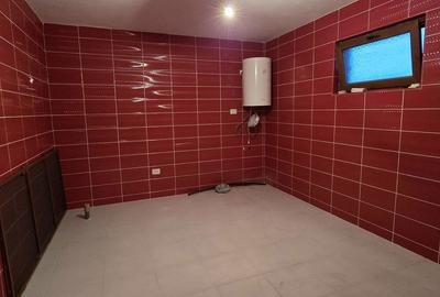 Casă cu 5 camere cu Teren 2220 Mp în Perșinari - 9