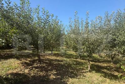 Teren de 2232 mp, în Central - 6