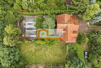 Pet Friendly, Vedere Padure, 5000mp teren, D+P+1E+M, semineu, foisor - 3