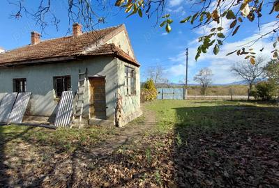 Casa de vanzare + gradina in sat Zagujeni - 5