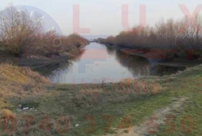 Teren de 6000 mp, în Mahmudia - 1