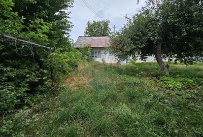 Casa  de vanzare cu teren 9200 mp, Padureni-Sendriceni, Botosani - 24
