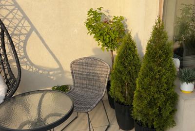 Apartament cu 2 camere decomandat, mobilat în Iancului - 4
