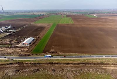 Teren extravilan șosea Dn 79 Arad-Oradea - Comision 0% la cumparare - 9