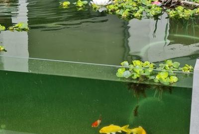 Apartament cu 3 camere decomandat în 13 Decembrie - 9