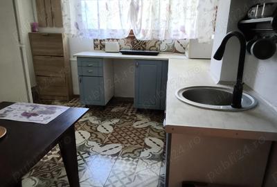 Singur in curte, locuri de parcere, zona AFI MALL - 6