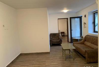 Vand casa Faget Vand casa Faget - 6