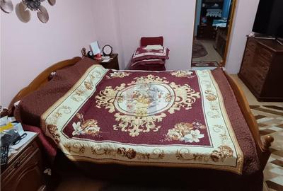 Casa 5 camere, teren 182 mp, Islaz-Plantelor - 2