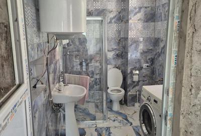 Casă cu Teren 1420 Mp în Beba Veche - 2