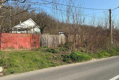 Casă cu Teren 2500 Mp în Banca - 9