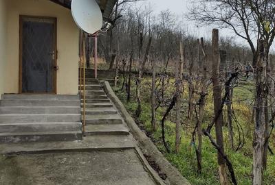 Casă în Filiași - 10