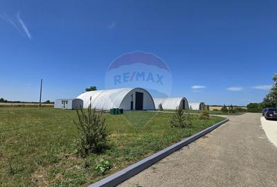 Spațiu comercial, de 1,400 mp, în Potigrafu - 7