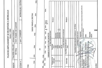 Teren de 19116 mp, în Coșești - 4