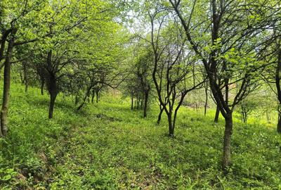 Teren de 1253 mp, în Ariceștii Zeletin - 5