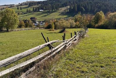 Teren de 500 mp, în Mănăstirea Humorului - 4