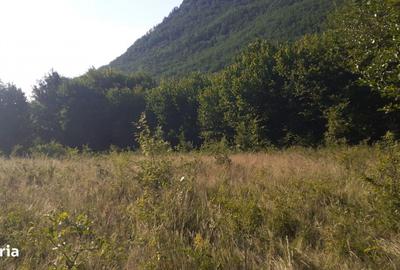 Teren de 700 mp, în Dobra - 4