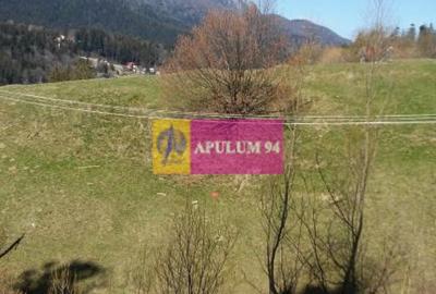 Teren de vânzare în Bușteni - Zona Zamora - 22