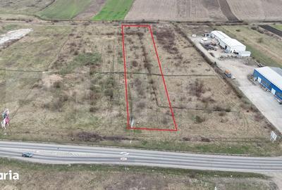 Teren de 3695 mp, în Petelea - 2