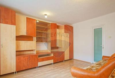 Apartament 2 camere renovat, central, Zona ISR, Ra?nov - 4