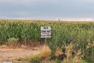 Teren de 11000 mp, în Movilița - 7