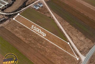 Teren de 5500 mp, în Tărlungeni - 2