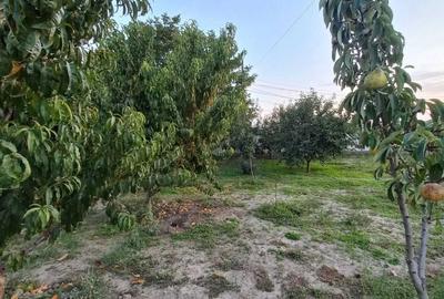 Casă cu 4 camere în Central - 3