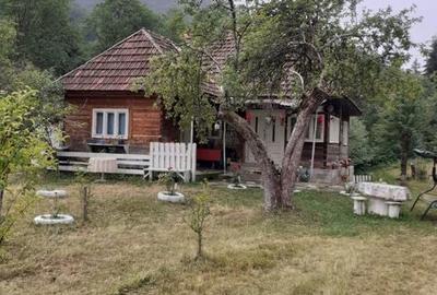 Casă cu 6 camere cu Teren 3250 Mp în Avram Iancu - 7