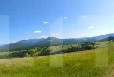 Teren de 2817 mp, în Piatra - 7