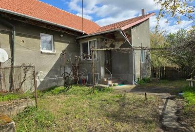 Casă cu 3 camere cu Teren 3863 Mp în Batiz - 1