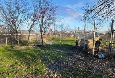 Casa / Vila cu 3 camere in Carligele - 12