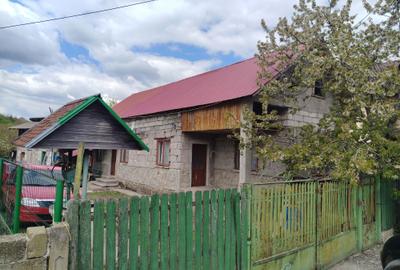 Casă cu 4 camere în Șotânga - 4