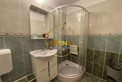 Apartament 2 camere, Crangasi - Ceahlau decomandat - 9