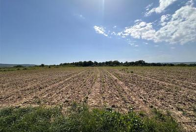 Teren extravilan de 950 mp, în Bârnova - 7