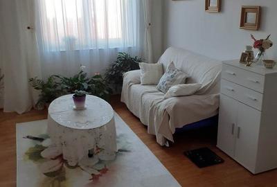 Apartament cu 4 camere decomandat în Vatra Dornei - 19