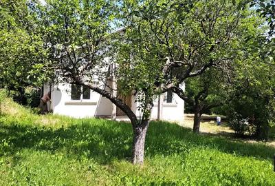 Casă cu Teren 3780 Mp în Hulubești - 1