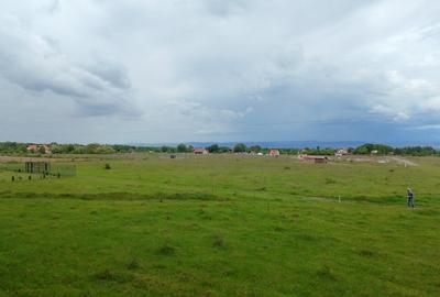 Teren Construcții intravilan de 1000 mp, în Sâmbăta de Sus - 14