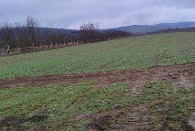 Teren de 15350 mp, în Oșorhei - 2