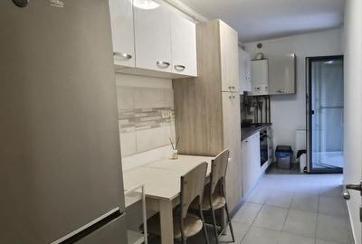 Apartament cu 2 camere decomandat, mobilat în Blașcovici - 11