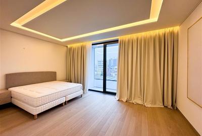 Apartament de inchiriat 4 camere Kiseleff - 26