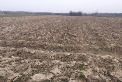Teren de 2900 mp, în Mocira