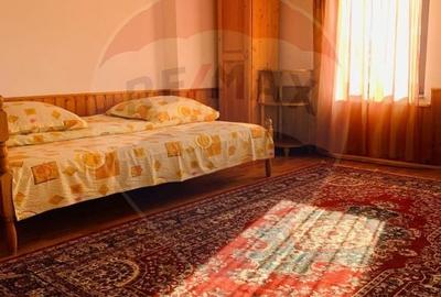 Casă individuală cu 9 camere cu Canalizare în Central - 11