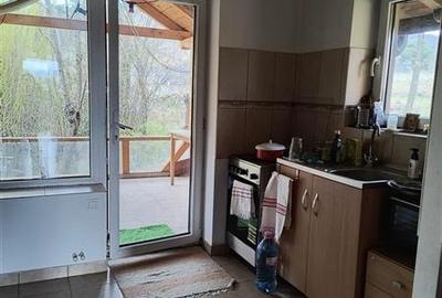 Oportunitate! Casa deosebita cu 2980 mp teren in Vulcan, Brasov - 37