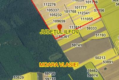Teren de 4700 mp, în Snagov - 3